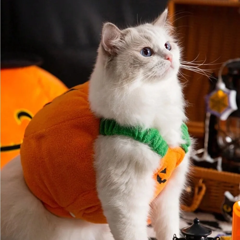 1pc Pet Dog Pumpkin Halloween & Christmas Costume, Funny Biped Cat Dog Apparel